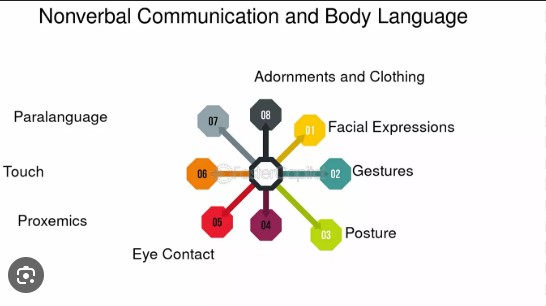 Active listening involves nonverbal communication